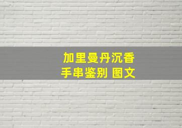 加里曼丹沉香手串鉴别 图文